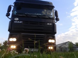 DAF XF 105.460