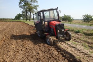 Massey Ferguson 255 + UG 3 skibowy