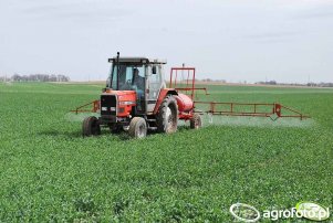 Massey Ferguson 3050 + opryskiwacz