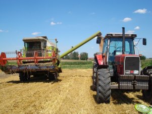 Massey Ferguson 3635 + Claas Dominator 96