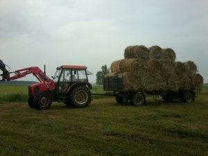 Zetor 7340 i Platforma do bel