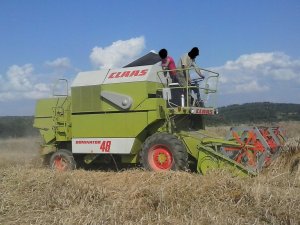 Claas Dominator 48