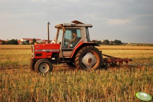 Massey Ferguson 3050 + gruber 1,8m