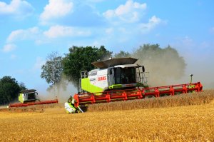 Claas Lexion 600 TT V12 + 770 TT V12