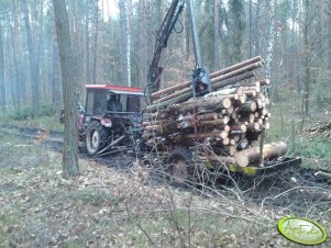 T-25 i Przyczepa leśna z HDS