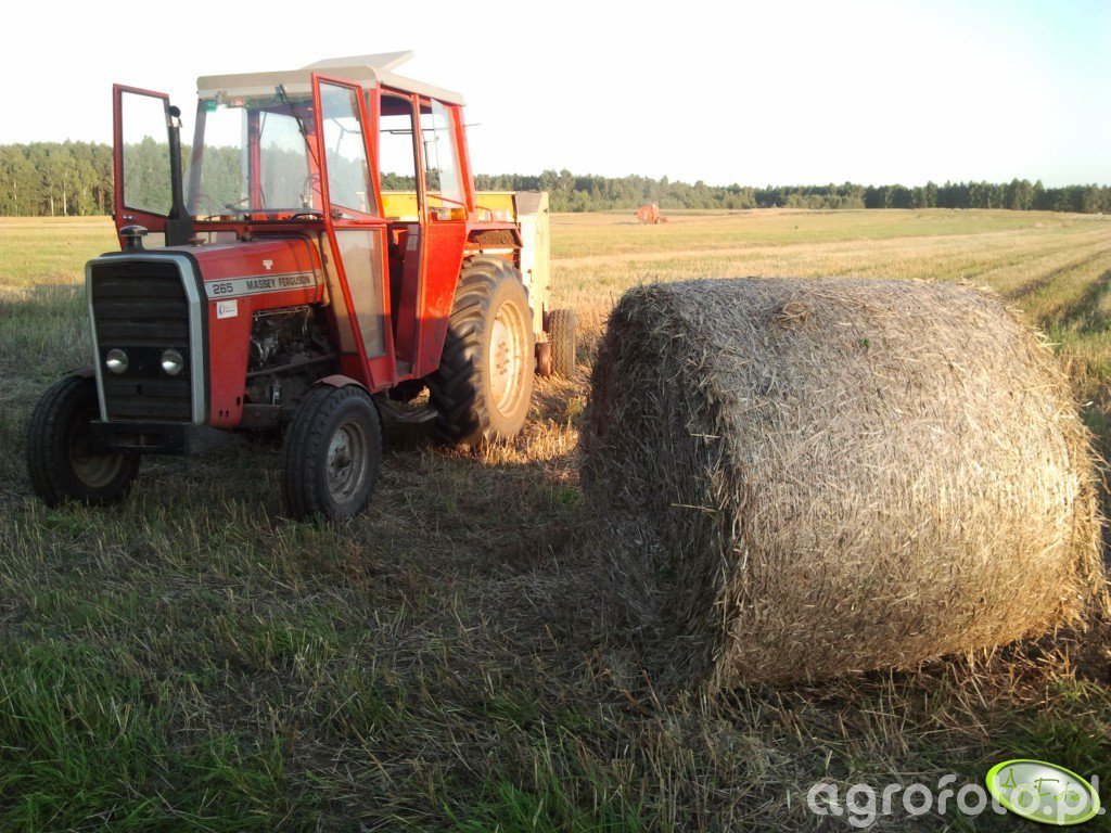 Massey Ferguson 265 + Krone 125