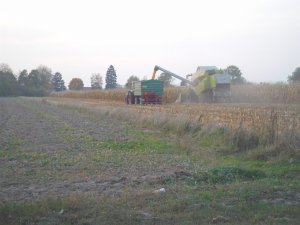 Claas Tucano 440