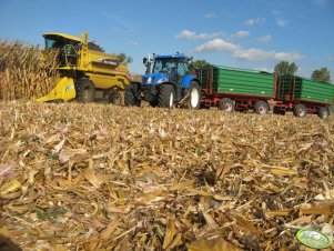 New Holland TC 56 + NH T6080 + 2x MetalTech DB 12