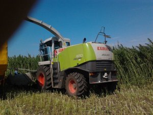 Claas Jaguar 870 & Orbis450