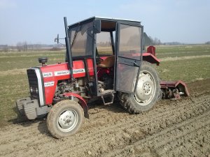 Massey Ferguson 255 & glebogryzarka