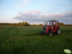 Massey Ferguson 265