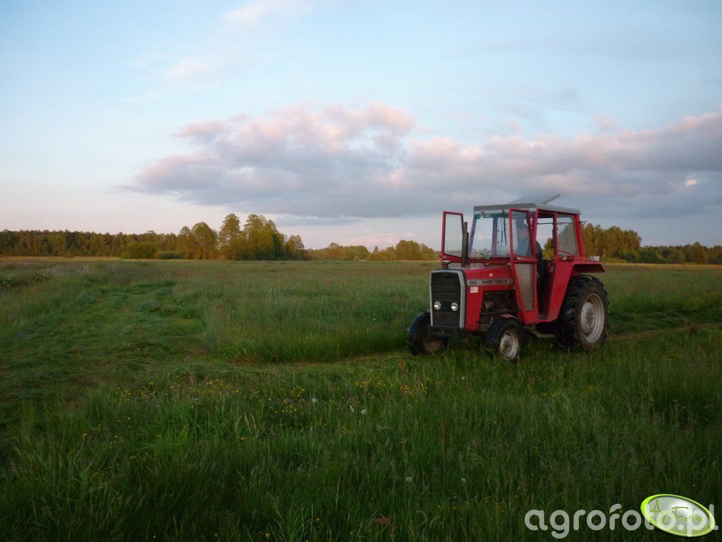 Massey Ferguson 265