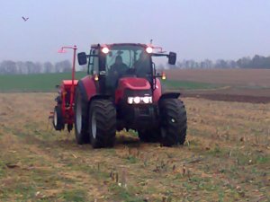 Case IH Farmall 95U + siewnik GASPARDO NINA