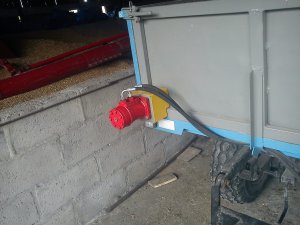 Żmijka wyładowcza.