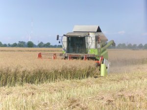 Claas Medion 310