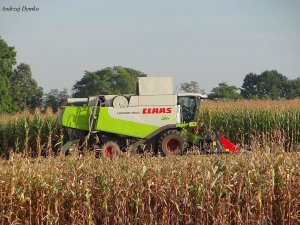 Claas Lexion 560