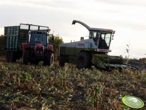 Claas Jaguar 620