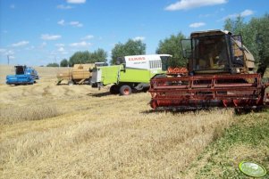 3xBizon & Claas 