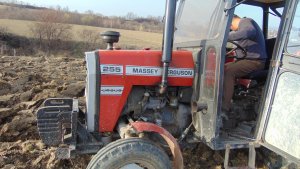 Massey ferguson 255 + Akpil 250 3+1