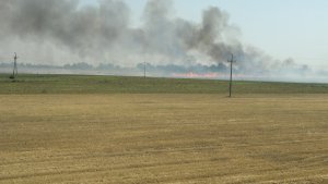 5 ha poszło z dymem