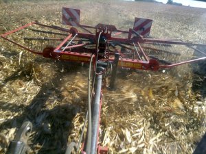 Lely Hibiscus 485p & Ursus