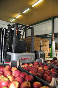 Wózki Nissan Forklift