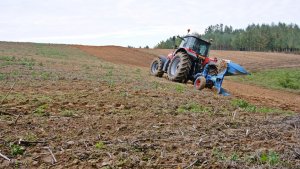 Massey Ferguson 6485