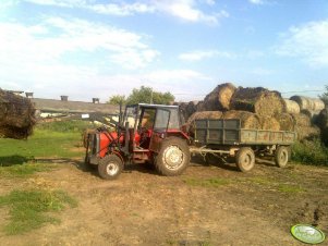 Massey Ferguson 255