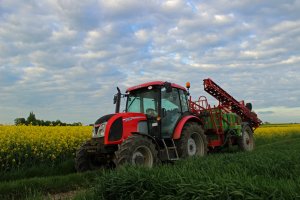 Zetor Proxima 85 + Krukowiak