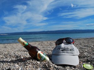 Agrofoto na wakacjach