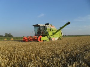 Claas Dominator 86