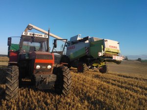 Claas Lexion i Zetor