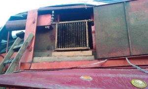 Bizon - chłodnica oleju