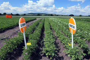 KWS Demo Farma Kondratowice 2014