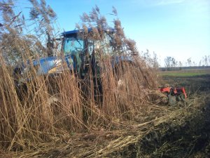 New Holland T7040 + Talerzówka Grano Shark 4m