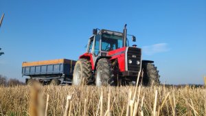 Massey Ferguson