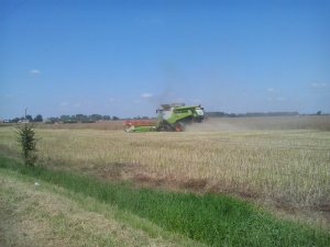 Claas Lexion 780 TT