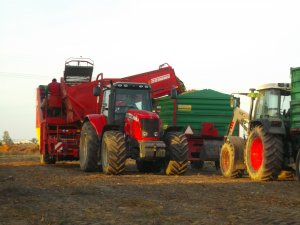 Messey Ferguson + Grimme 150-60