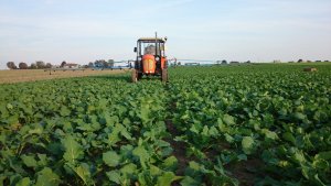 Ursus C-328 i Agromet Mogilno