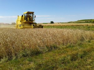 New Holland Clayson M140 armada