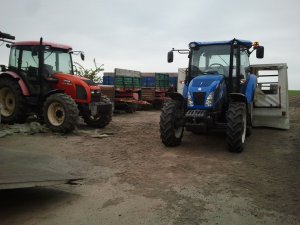 Zetor Proxima 8441 New holland td5.65