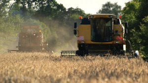 New Holland vs. Bizon