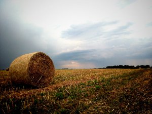 Cisza przed burzą...