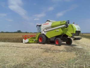 Claas Tucano 440