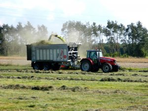 Massey Ferguson 5465 & Fliegl ASW gigant 258