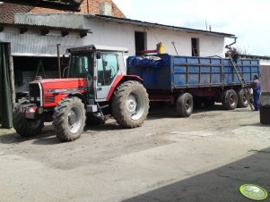 Massey Ferguson 3095 + przyczepa