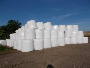 Sianokiszonka w komplecie