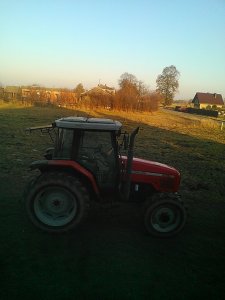 Massey Ferguson  6260