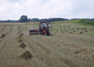 MTZ 82 & Sipma Z 224/2