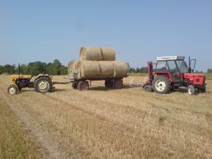 Maszt z chwytakiem do bel